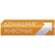 Домашние животные